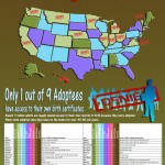 The-United-States-of-denied-adoption-infographic copy