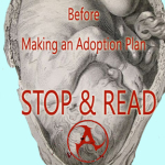 before making and adoption plan