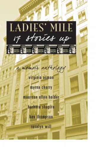 Ladies Mile ~ 17 Stories Up