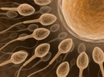 Adoption is not a cure to fix infertility