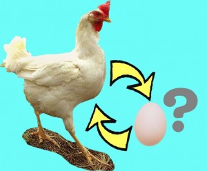 The  infertile chicken really wants it's own egg, but will adopt an egg if the chicken doctor fails it