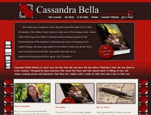 romance author webiste built