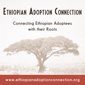 An Ethiopian Adoption Search Registry 