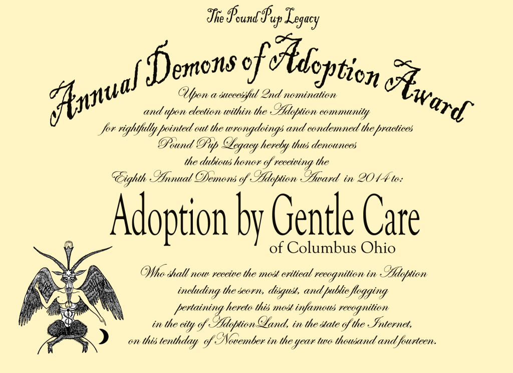 demon award 2014 adoption by gentle care