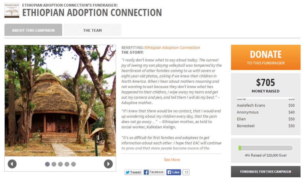 Supporting  Ethiopian Adoption Connection