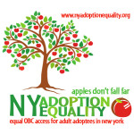 New York Adoption Equality OBC access