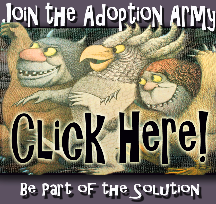 Join the Adoption Army!