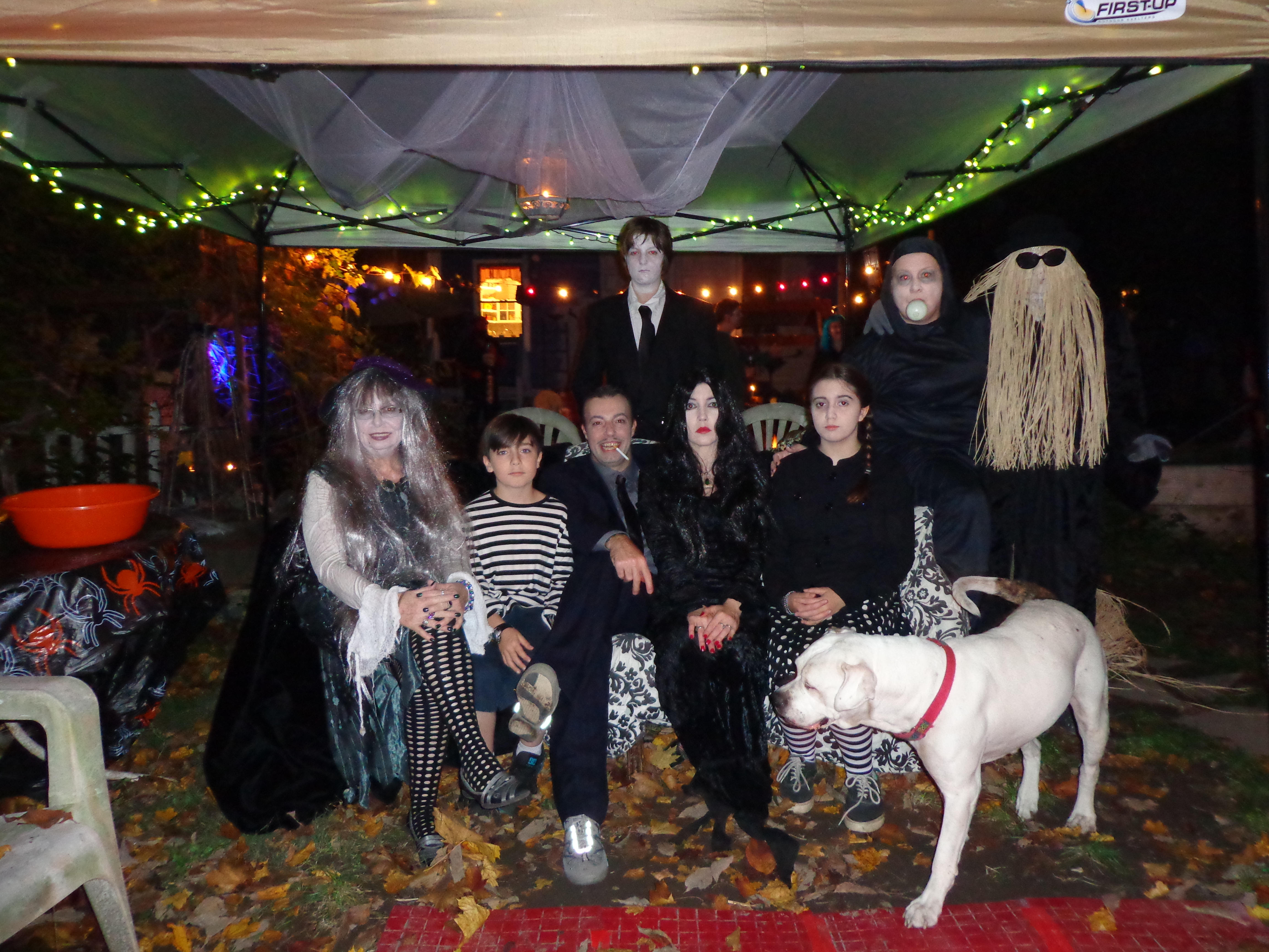 Halloween 2012 D'Arcy style