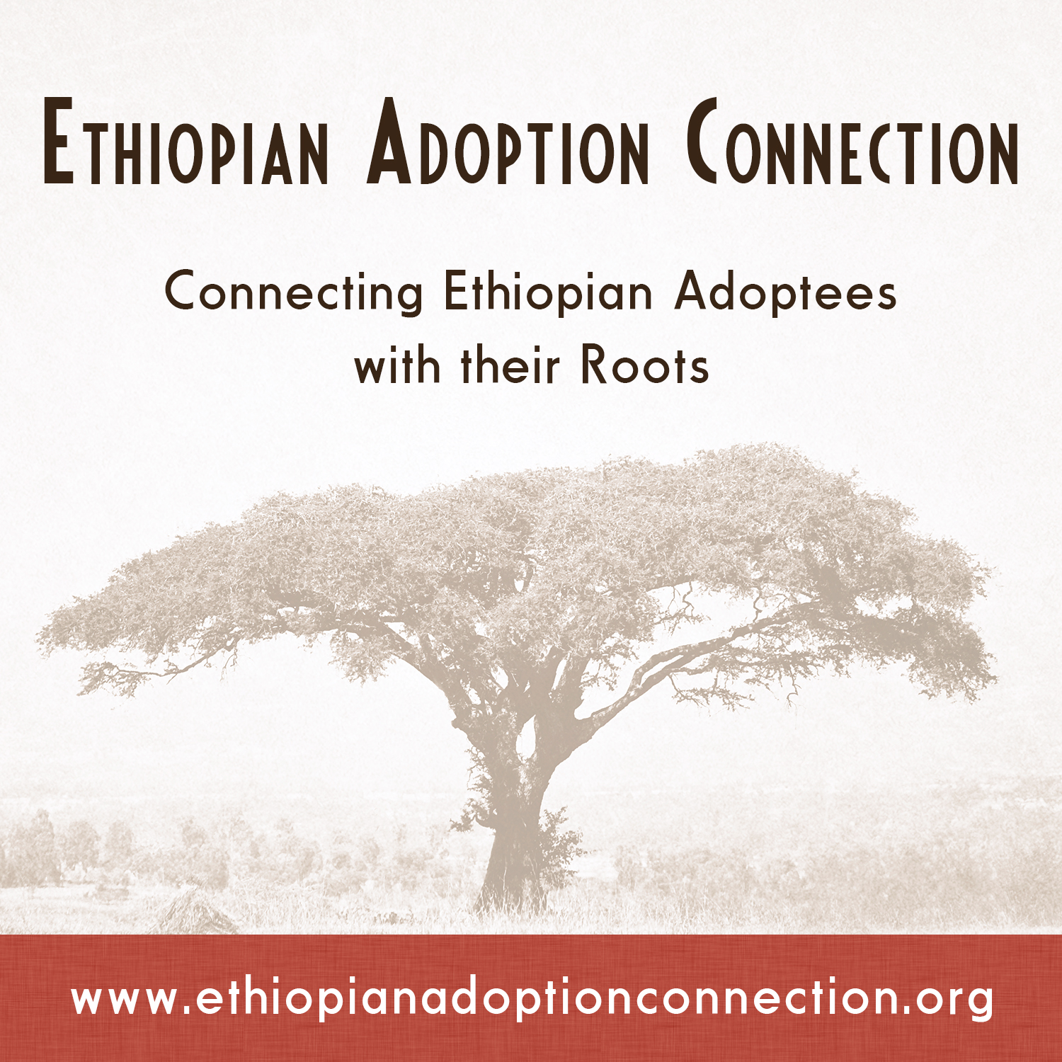 An Ethiopian Adoption Search Registry