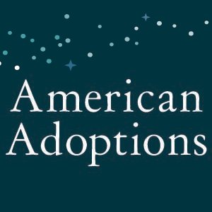 american adoptions influnce on Camden Stearns unethical adoption